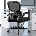 ALLGOD Ergonomic Office Chair, Breathable Mesh Ergonomic Desk Chair with Adjustable Lumbar Support, Flip-up Armrests, 300LBS, Black